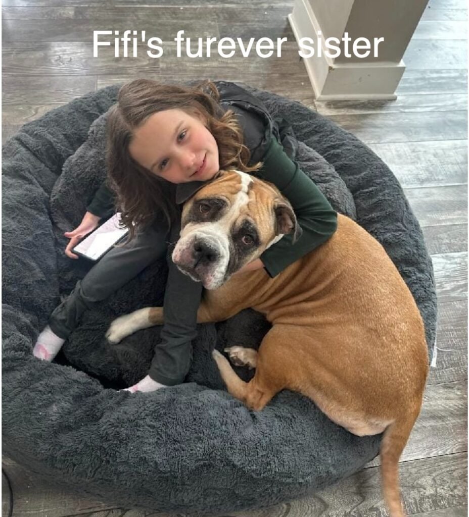 Fifi6